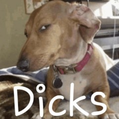 DWD (Dogs With Dicks)