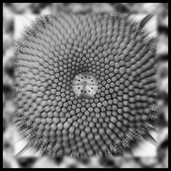 HypnoJazz - Give iT to Me - VONN4726 - Todd R Smith