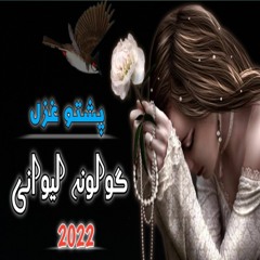 Ka Gulona Lewani De | کہ گولونہ لیوانی دی | Pashto Rabab Mange Best Ghazal 2022 | Pashto New Songs