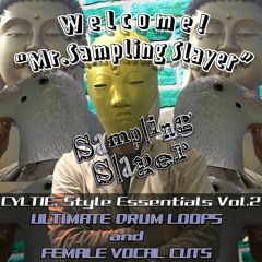 【BOF:NT】Welcome! "Mr.Sampling Slayer"