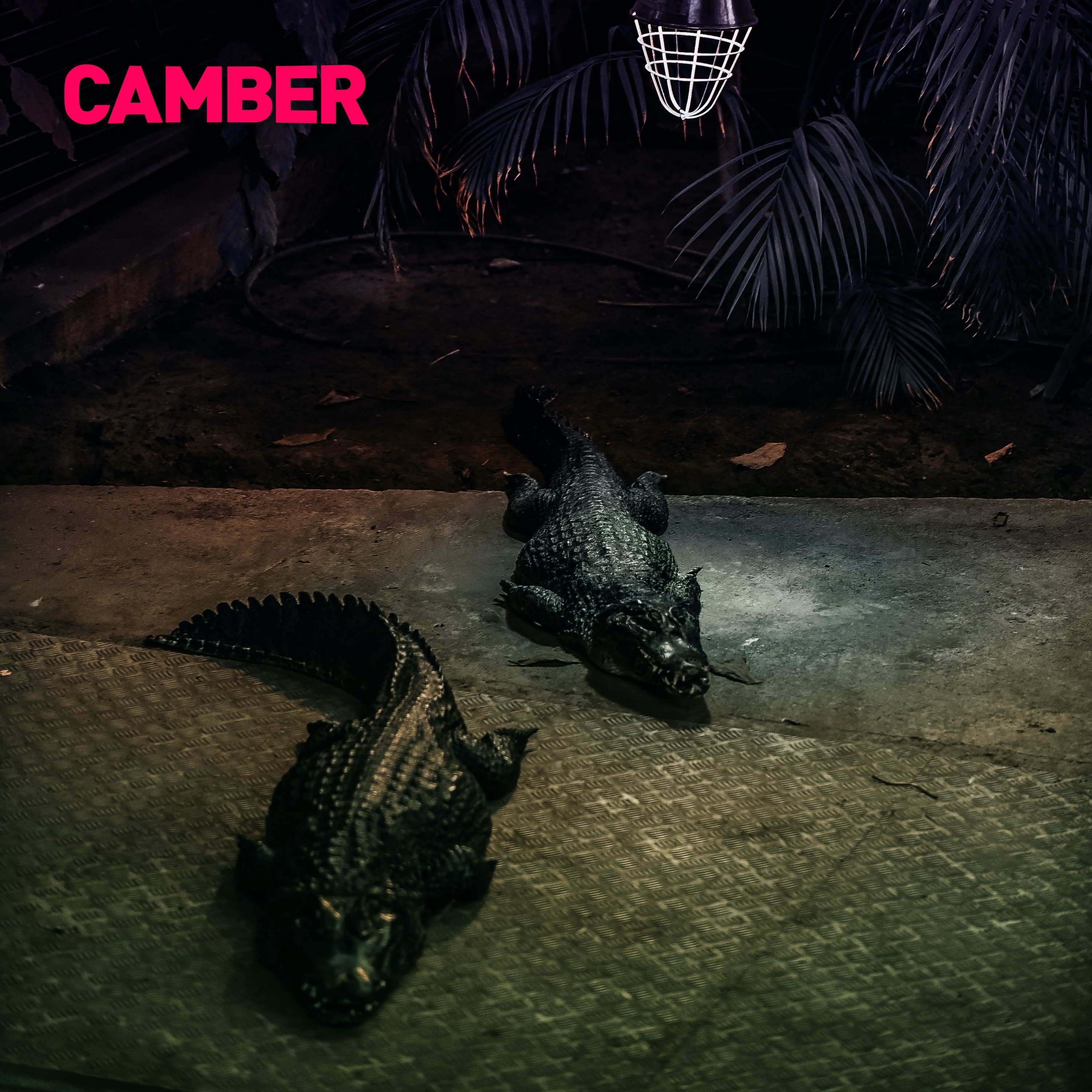 CAMBER