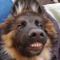 Tomahawk (Original Mix) - Carnage