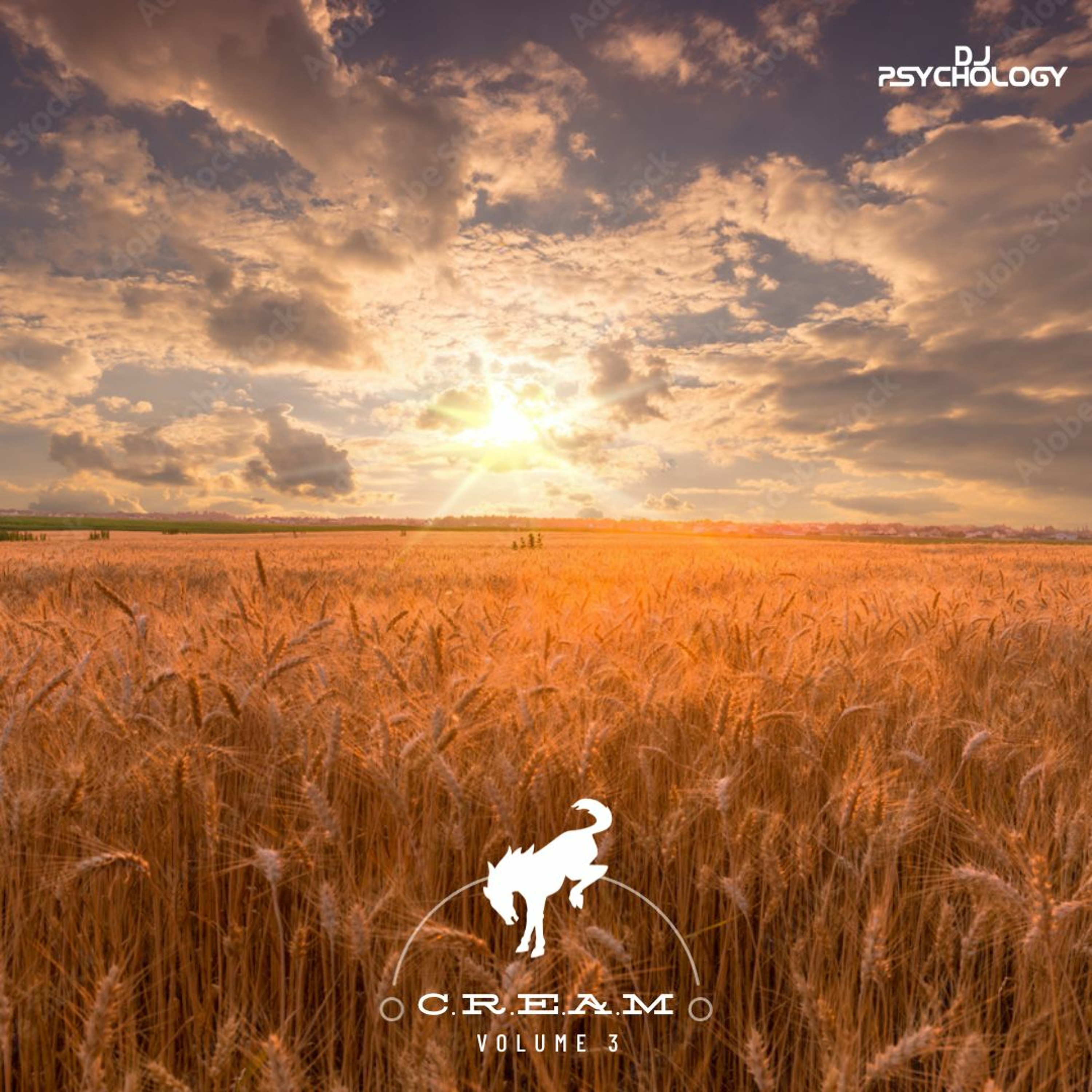 C.R.E.A.M (Country Rules Everything Around Me) Volume 3