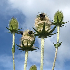 ...in da dubstore...(pt.18)