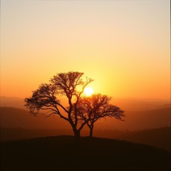 I will always love you Rendition