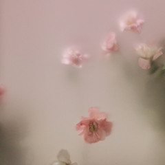 I Love You (VOX)