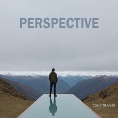 Perspective