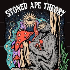 Stoned Ape Theory X Summertime Sadness Braindeadd Mashup!