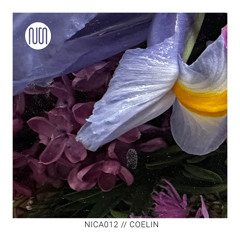 nica012 // COELIN @ Good Noise