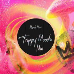 Trippy Moods Mix by Manda Moor