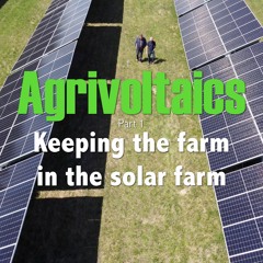 382A. Agrivoltaics, Keeping the farm in the solar farm