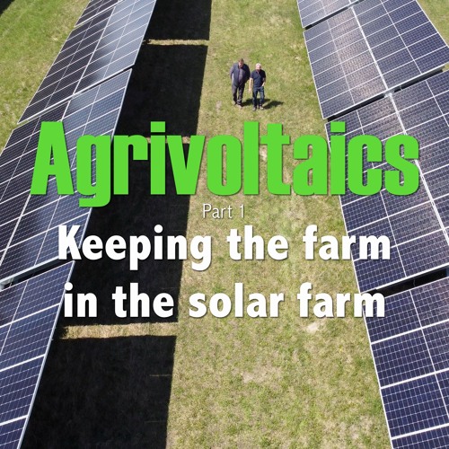 382A. Agrivoltaics, Keeping the farm in the solar farm