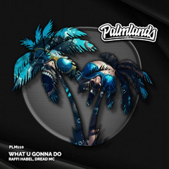 Raffi Habel, Dread MC - What U Gonna Do (Streaming Edit) [Palmlands Records]