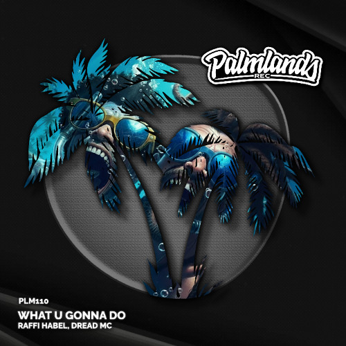 Raffi Habel, Dread MC - What U Gonna Do (Streaming Edit) [Palmlands Records]