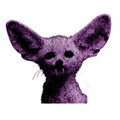 partyyy - pussy pink