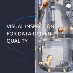 Visual Inspection for Data-driven Quality