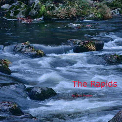 The Rapids