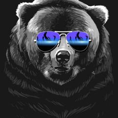 Transitional Distortions - DJ Lil Bear