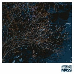 MASS | 29 - Kepler