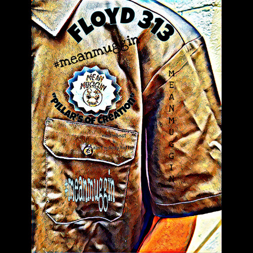 floyd 313 - fishfry (prod @floyd313)