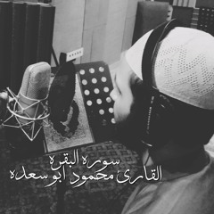 الشيخ محمود ابو سعده