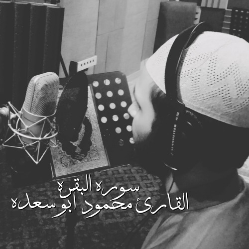 الشيخ محمود ابو سعده