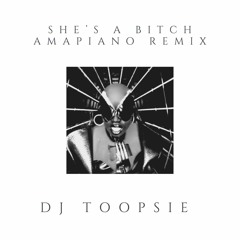 She's a Bitch - Amapiano Remix (DJ Toopsie)