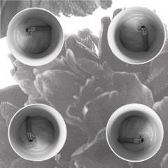 140 techno , etc [092025]