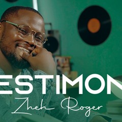 ZHEH ROGER - TESTIMONY