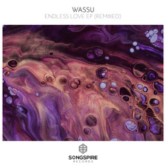 Endless Love (Nicolas Giordano Remix)