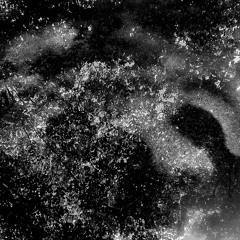 Revealed as stars in the night sky