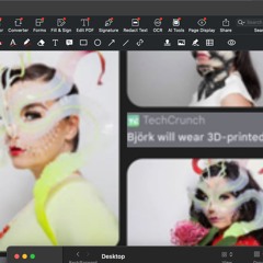Carmilla Wylx Cariboussilver Slowded