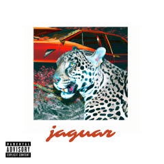 Kako & Sicko - JAGUAR
