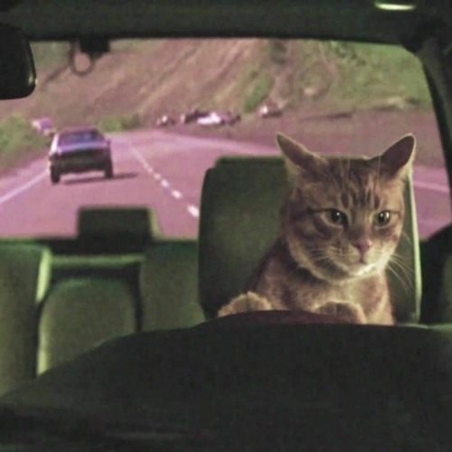 go get the passenger seat