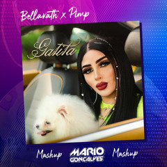 Pimp x Gatita Mashup (Dj Mario Goncalves) Electro Latina