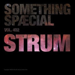 STRUM: SPÆCIAL MIX 402