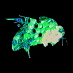 Irregular Wasp (oddeen Edit)