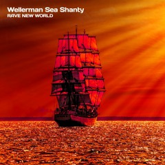 Rave New World - Wellerman Sea Shanty