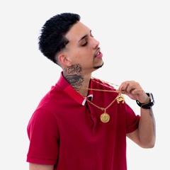 Vínculo Contagioso - Dj Nardiin & Mc Viana PV (Feat. DJ NANDIM E DJ GUZIN)