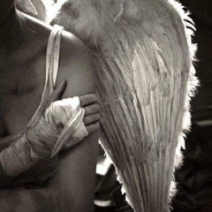 Masque d'Amour