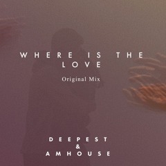 Deepest & AMHouse - Where Is The Love (Original Mix)
