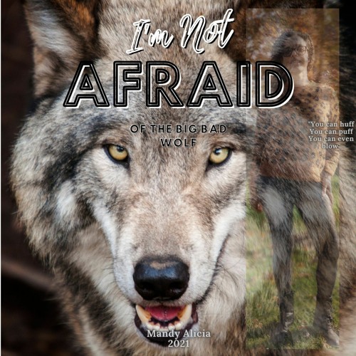 I'm Not Afraid Of The BIG BAD Wolf