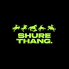 下载视频: SHURE THANG