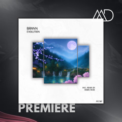 PREMIERE: Brann - Evolution (Extended Mix) [Polyptych]