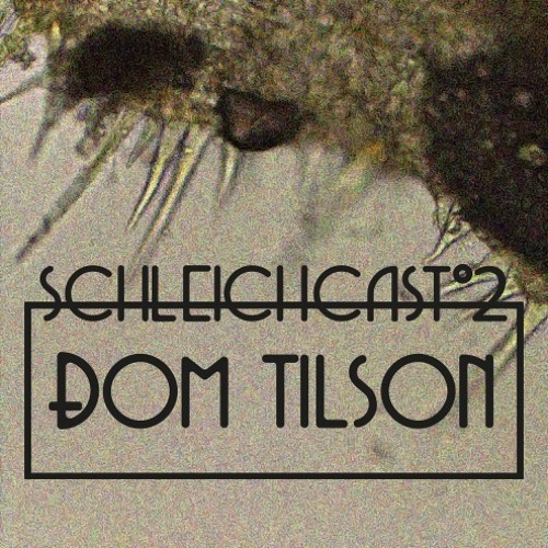 Schleichcast°2 | Dom Tilson