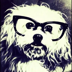 Can't Stand Your Love