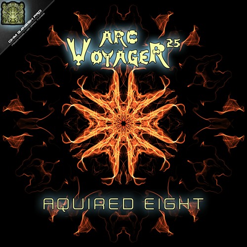 01 - Arc Voyager 25 - Interfaced