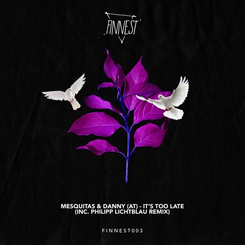 PREMIERE: Mesquitas & Danny - It's Too Late [FINNEST]