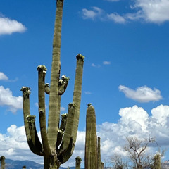 late night at the jazz club