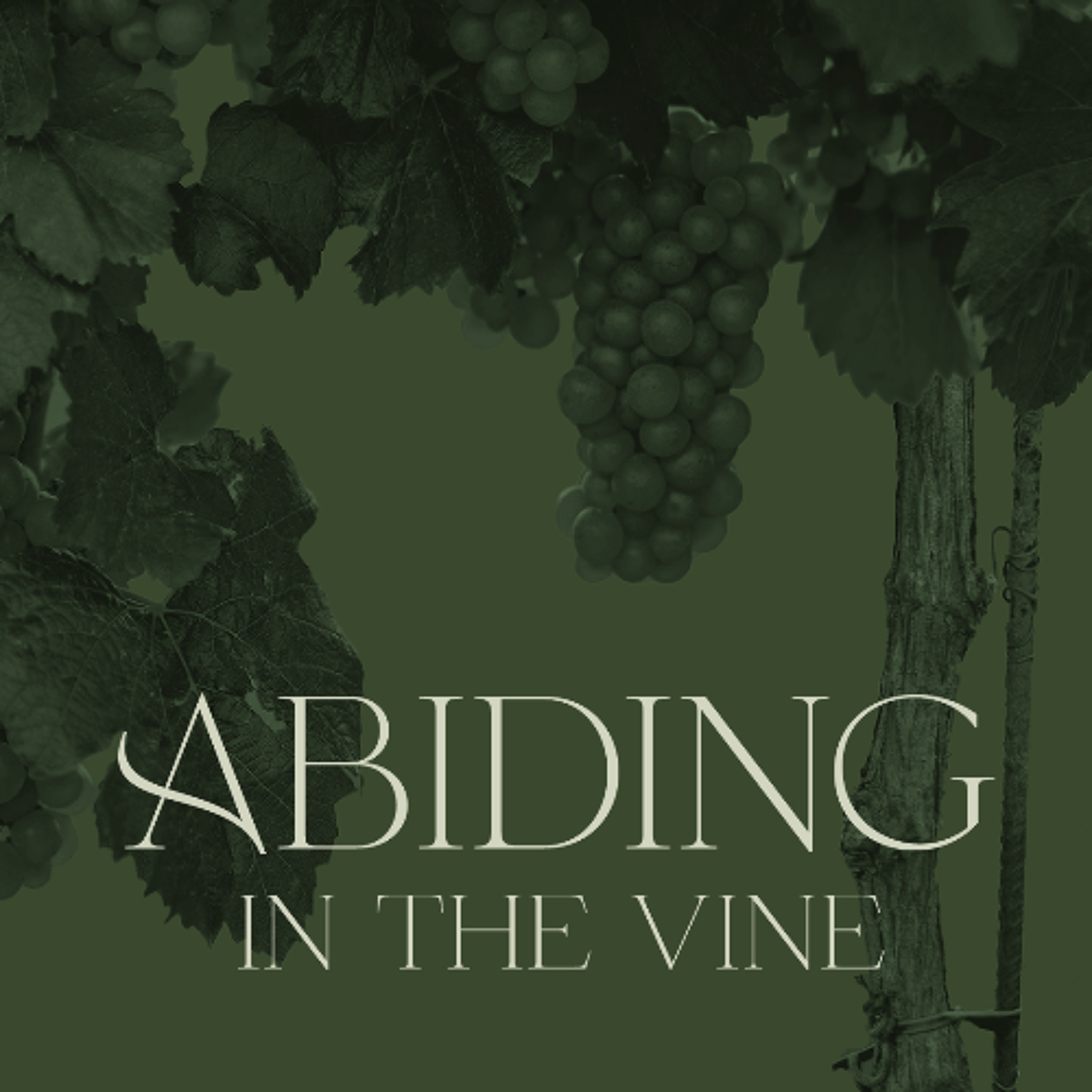Abiding in the Vine | 4. Speaking Up for the Gospel (7pm Service) | John 15:18-27 | Hannah Roodbari